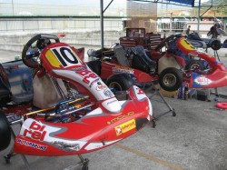 birel r31&r32